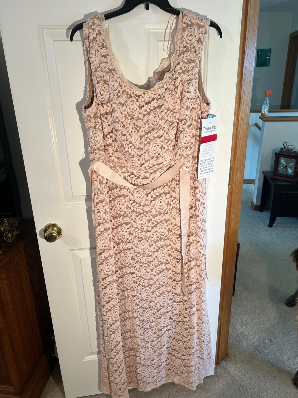 R&M Richards Blush Lace Sleeveless Maxi Dress